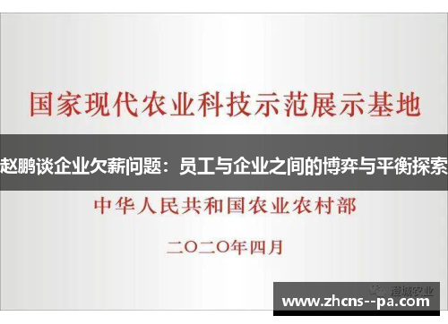 赵鹏谈企业欠薪问题:员工与企业之间的博弈与平衡探索 赵鹏谈企业欠薪问题:员工与企业之间的博弈与平衡探索
