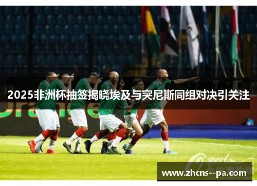 2025非洲杯抽签揭晓埃及与突尼斯同组对决引关注